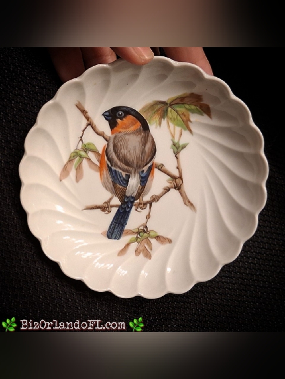 VINTAGE Haviland Limoges France Bouvreuil Bird 1967 Collector Dish Saucer Signed
